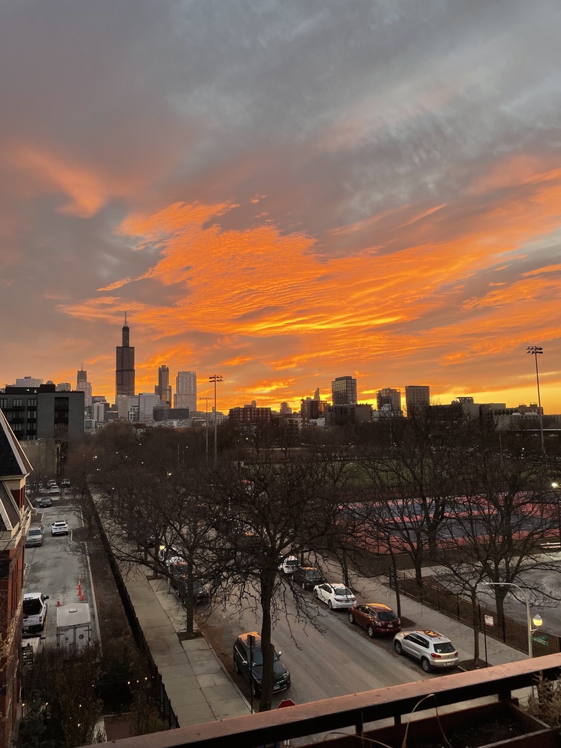 1500 West Monroe Street, Unit 425 Chicago, IL 60607 - Photo 29 of 33 a view of a city