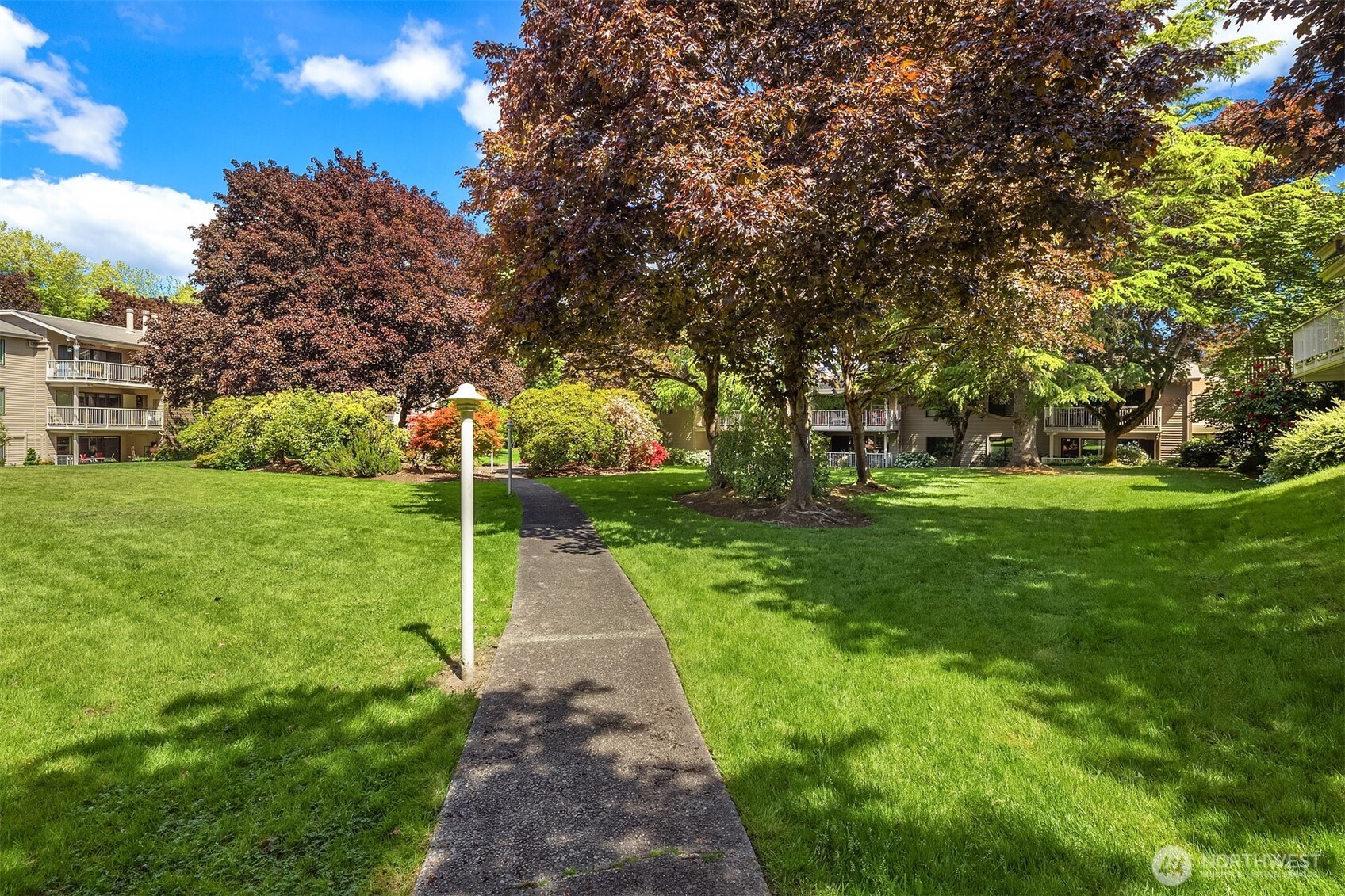 6333 Sand Point Way Northeast Seattle, WA 98115 - Photo 17 of 28