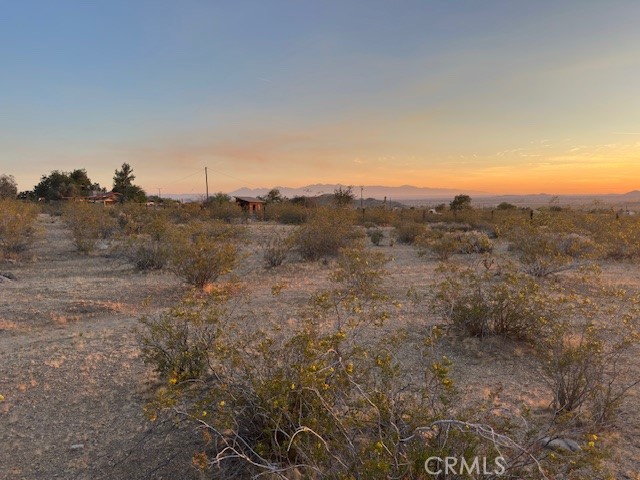 a view of a dry field with trees in the background
