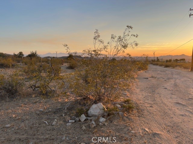 20 Old Mine Road Apple Valley, CA 92307 - Photo 2 of 6 a view of a dry yard with trees