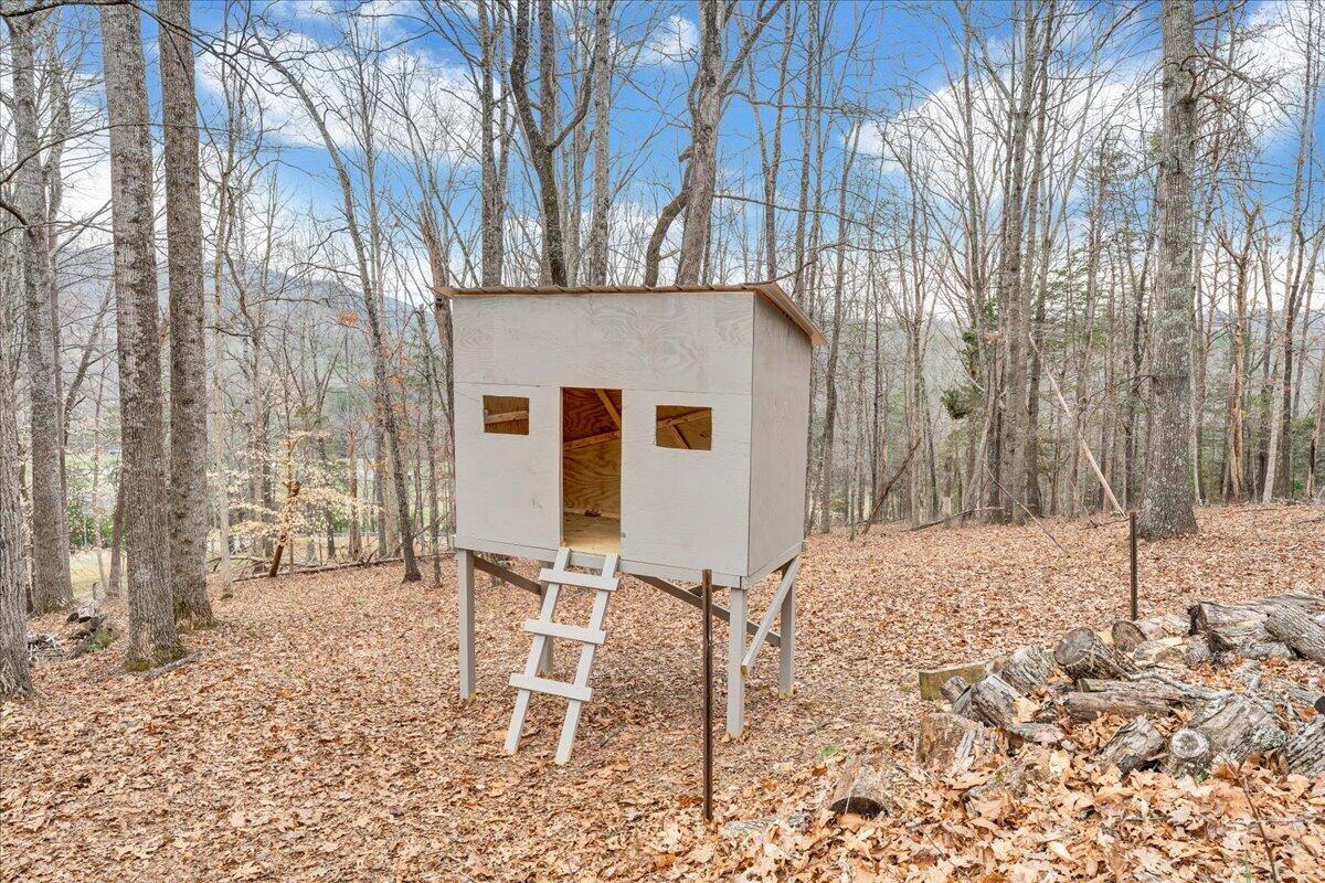 10924 Narrow Passage Road Eagle Rock, VA 24085 - Photo 42 of 85 42-MIB00654