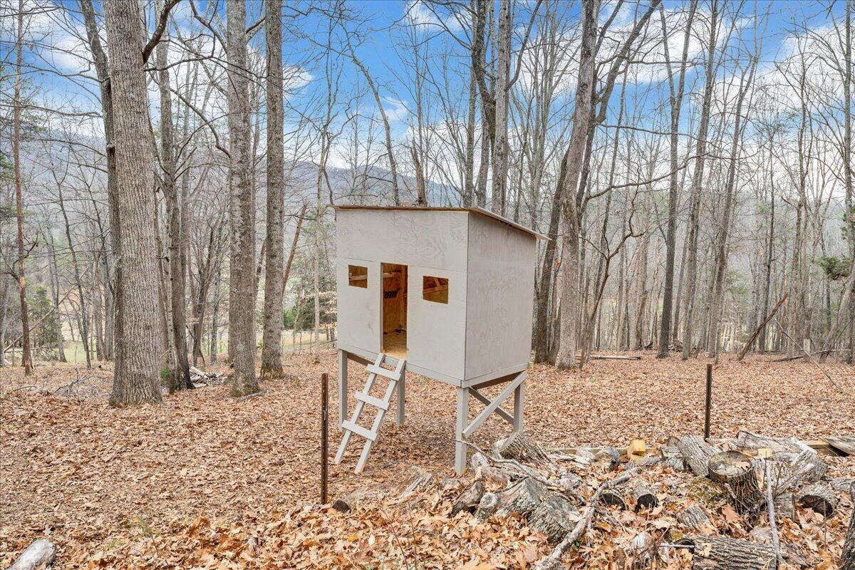10924 Narrow Passage Road Eagle Rock, VA 24085 - Photo 43 of 85 43-MIB00651