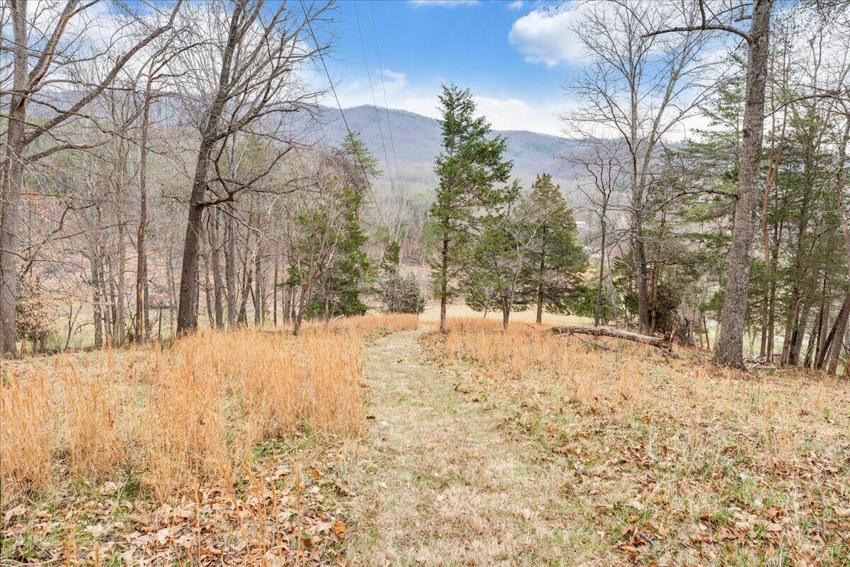 10924 Narrow Passage Road Eagle Rock, VA 24085 - Photo 59 of 85 59-MIB00693