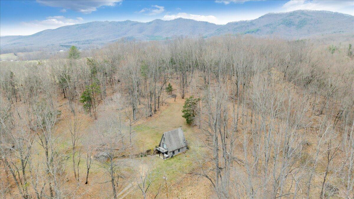 10924 Narrow Passage Road Eagle Rock, VA 24085 - Photo 63 of 85 63-DJI_20260319171357_0025_D