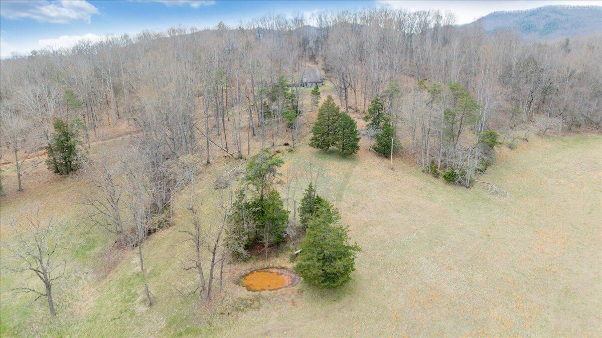 10924 Narrow Passage Road Eagle Rock, VA 24085 - Photo 65 of 85 65-DJI_20260319171219_0020_D