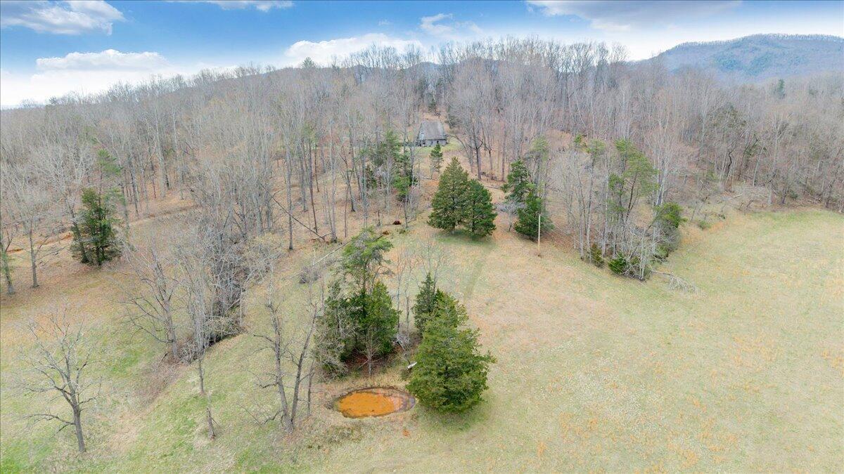 10924 Narrow Passage Road Eagle Rock, VA 24085 - Photo 66 of 85 66-DJI_20260319171226_0021_D