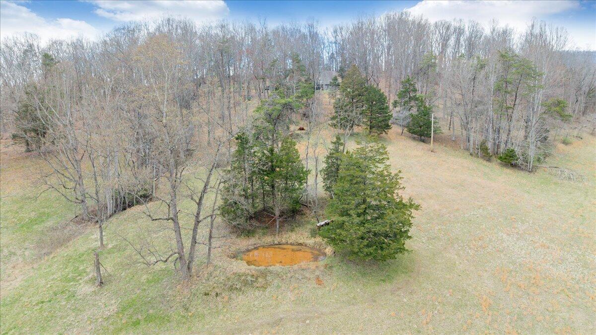 10924 Narrow Passage Road Eagle Rock, VA 24085 - Photo 67 of 85 67-DJI_20260319171249_0022_D