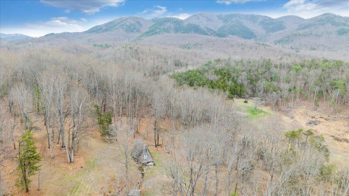 10924 Narrow Passage Road Eagle Rock, VA 24085 - Photo 68 of 85 68-DJI_20260319171431_0026_D