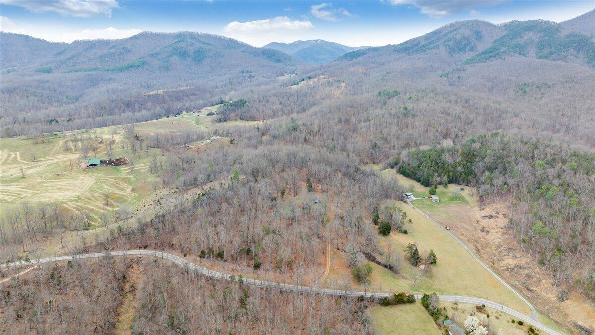 10924 Narrow Passage Road Eagle Rock, VA 24085 - Photo 69 of 85 69-DJI_20260319170535_0003_D
