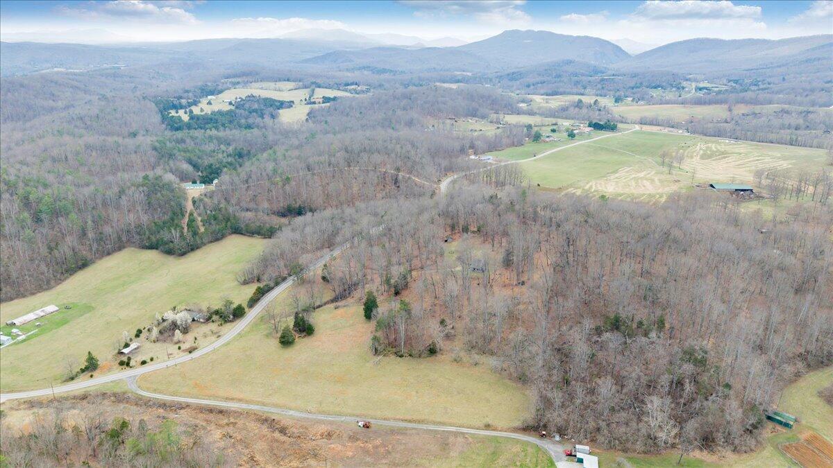 10924 Narrow Passage Road Eagle Rock, VA 24085 - Photo 75 of 85 75-DJI_20260319170737_0010_D