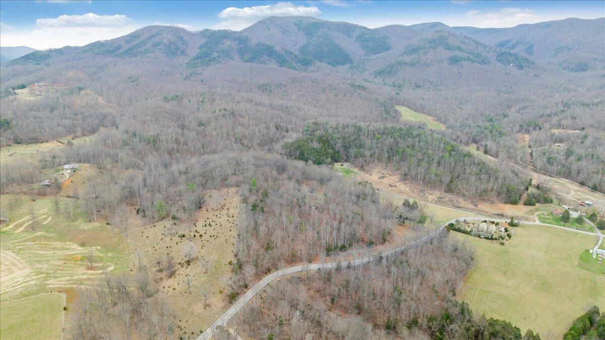 10924 Narrow Passage Road Eagle Rock, VA 24085 - Photo 82 of 85 82-DJI_20260319171006_0017_D
