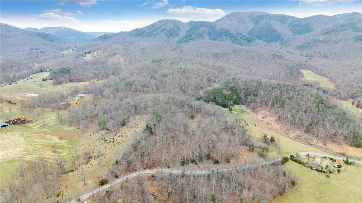 10924 Narrow Passage Road Eagle Rock, VA 24085 - Photo 83 of 85 83-DJI_20260319171031_0018_D