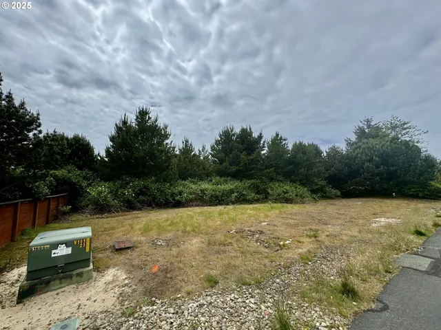 a view of a backyard with trees