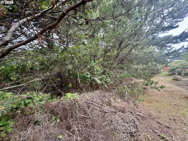 a view of a yard with a tree