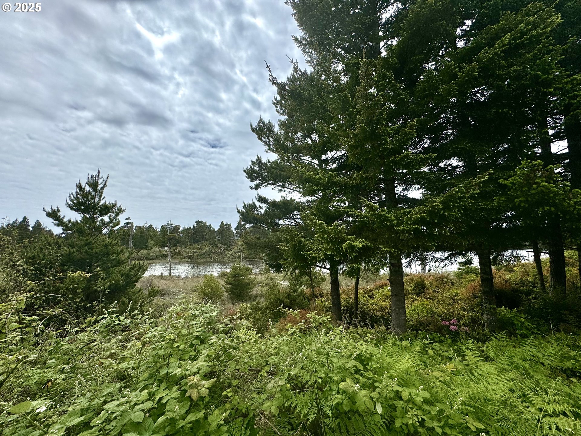 Lake Point Drive, Unit 23 Florence, OR 97439 - Photo 6 of 13 a view of yard with green space