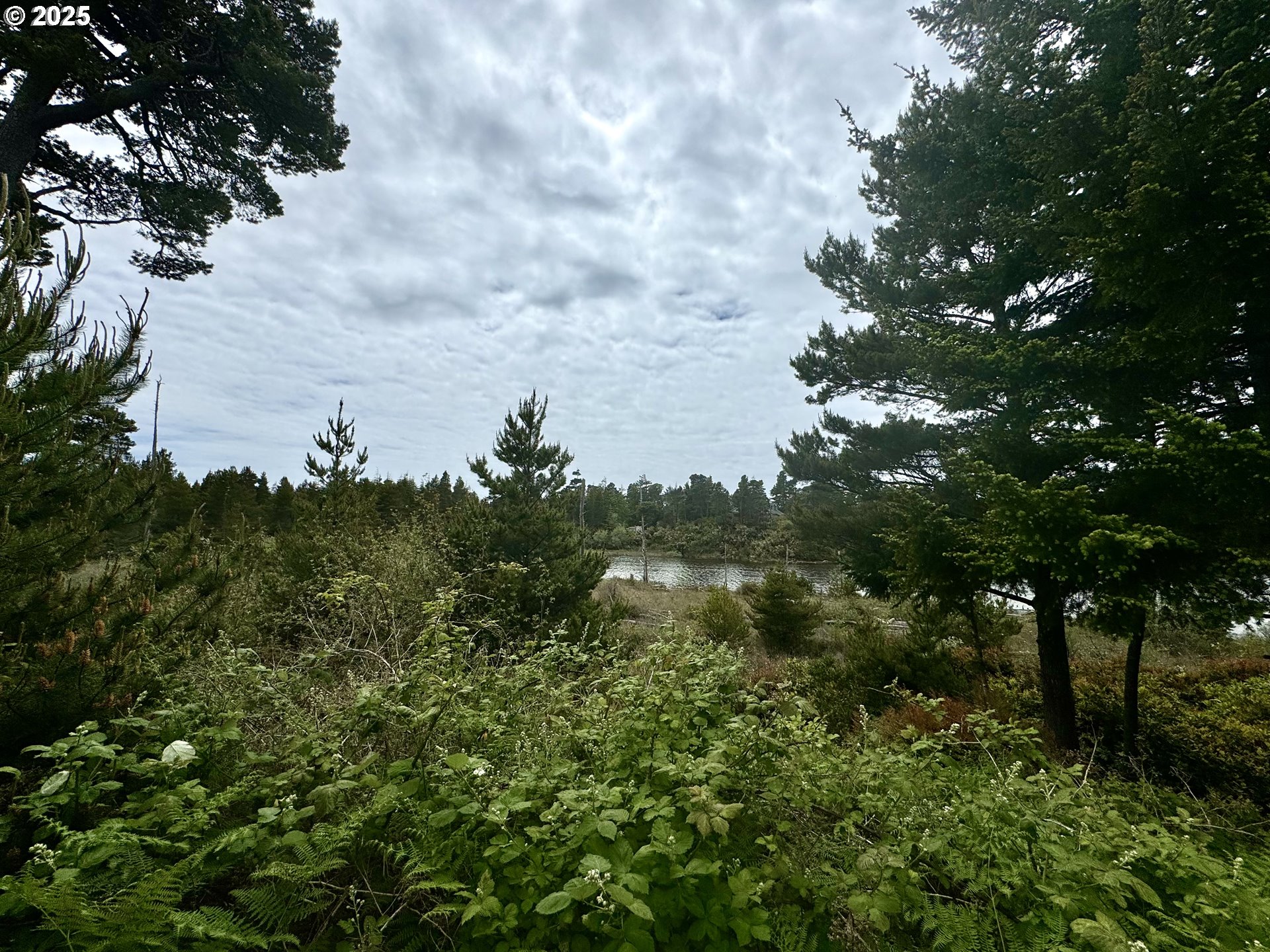 Lake Point Drive, Unit 23 Florence, OR 97439 - Photo 7 of 13 a view of a bunch of trees