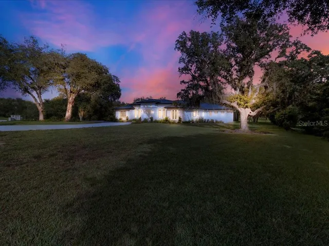 a view of a garden with an outdoor space
