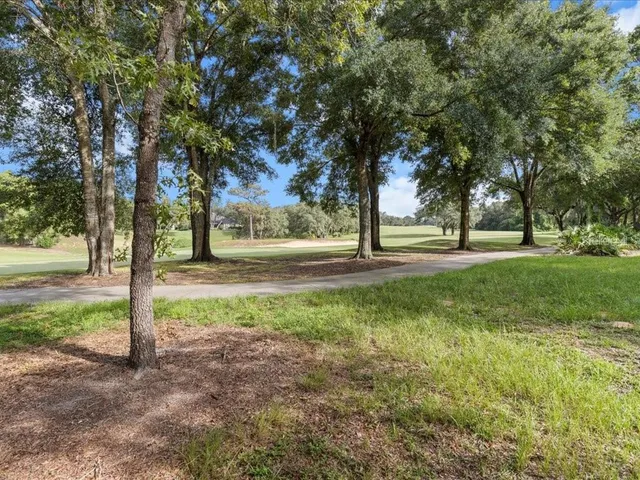 a view of a field with trees in the background