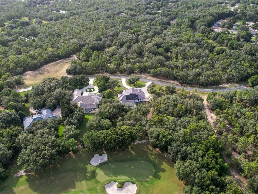 3937 West Shadow Creek Loop Lecanto, FL 34461 - Photo 42 of 65