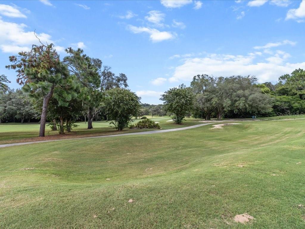 3937 West Shadow Creek Loop Lecanto, FL 34461 - Photo 52 of 65 a view of a field with trees in the background