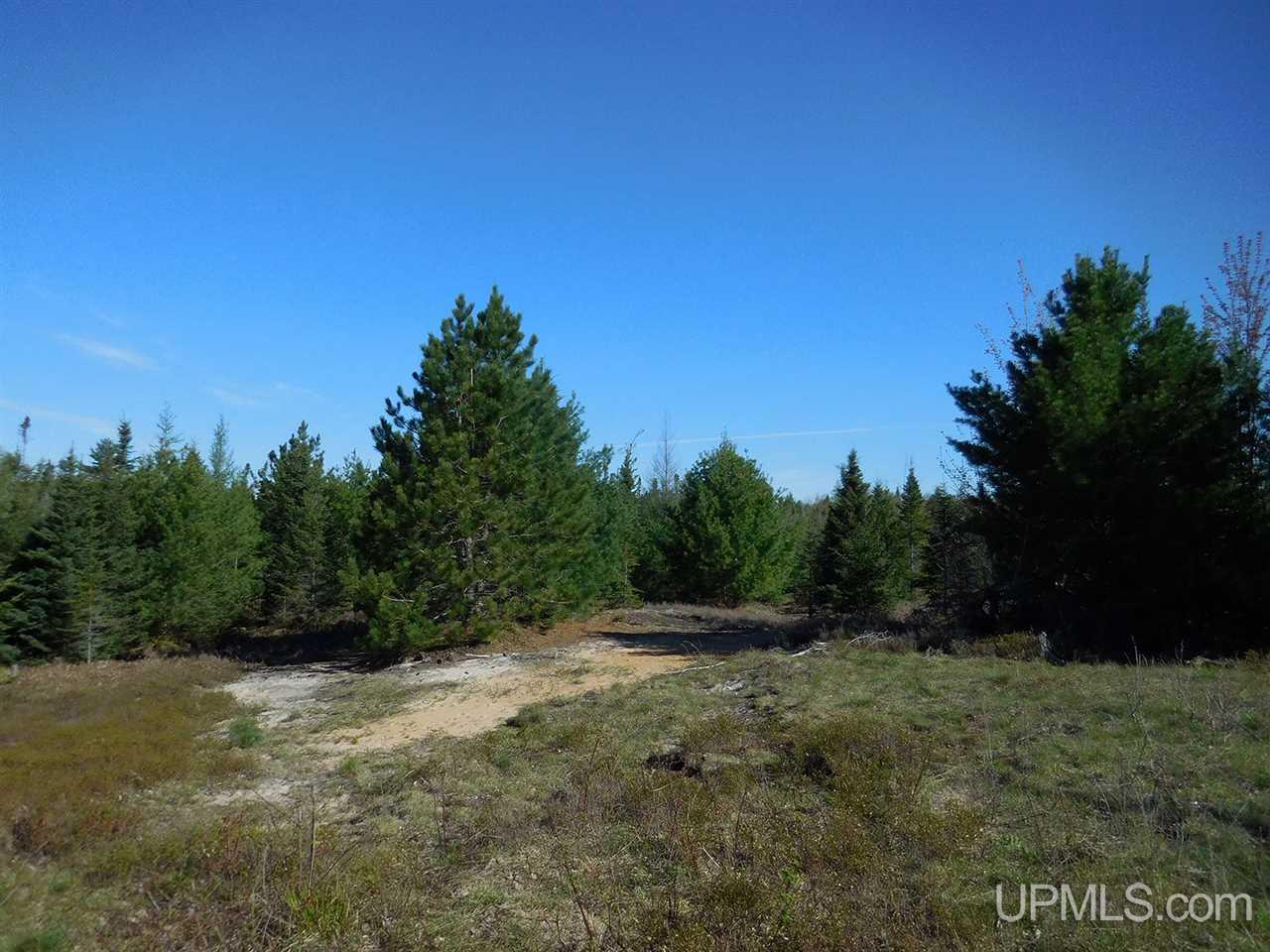 1480 Acres On Co Road Manistique, MI 49854 - Photo 19 of 49