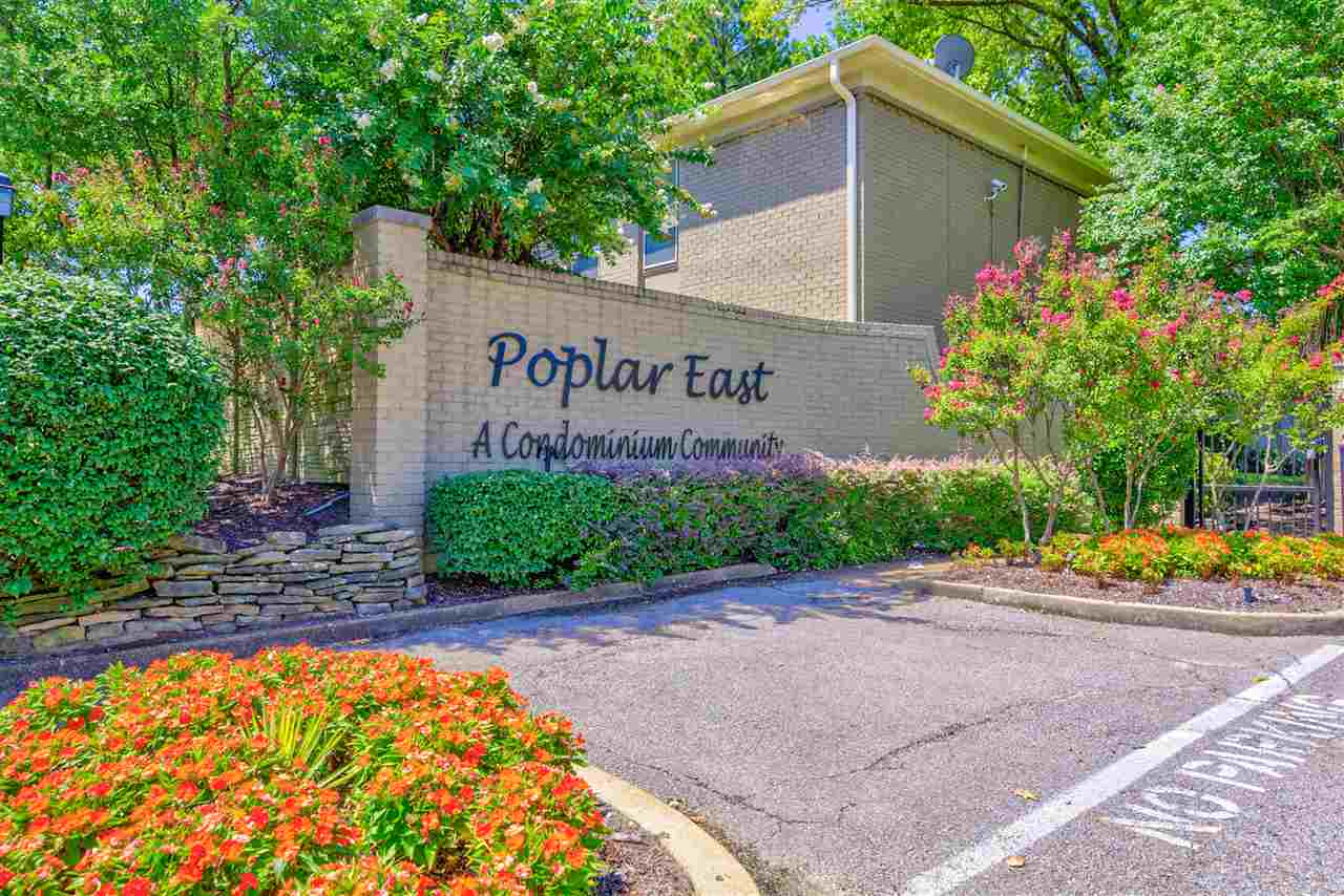 971 June Road, Unit 2 Memphis, TN 38119 - Photo 1 of 25 Gallery Image 1