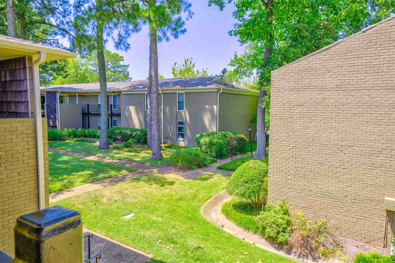 971 June Road, Unit 2 Memphis, TN 38119 - Photo 6 of 25 Gallery Image 6