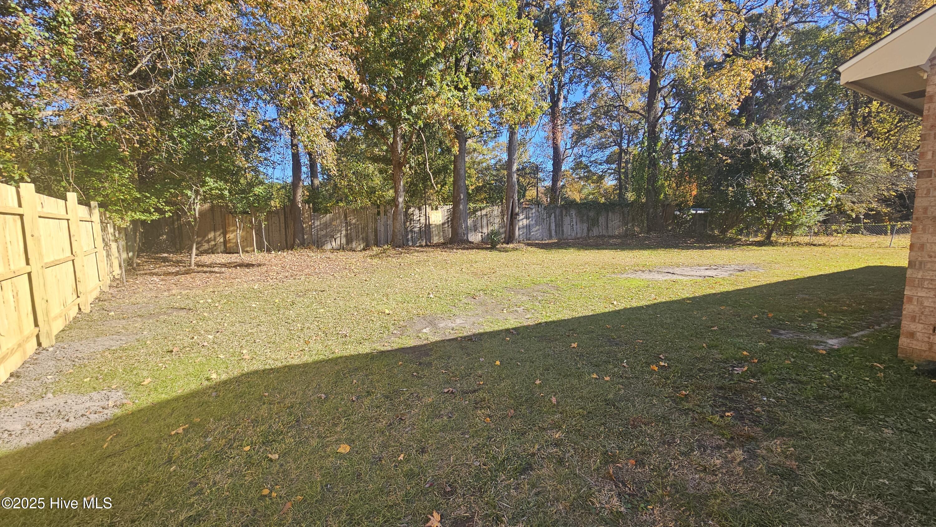 113 East Catawba Road Greenville, NC 27834 - Photo 2 of 19 2 Back Yard