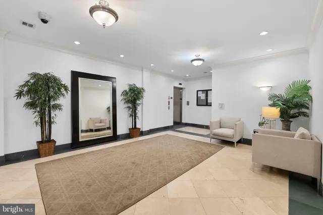 a living room with furniture and a potted plant