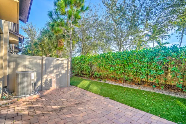 a view of a yard with plants and a trees