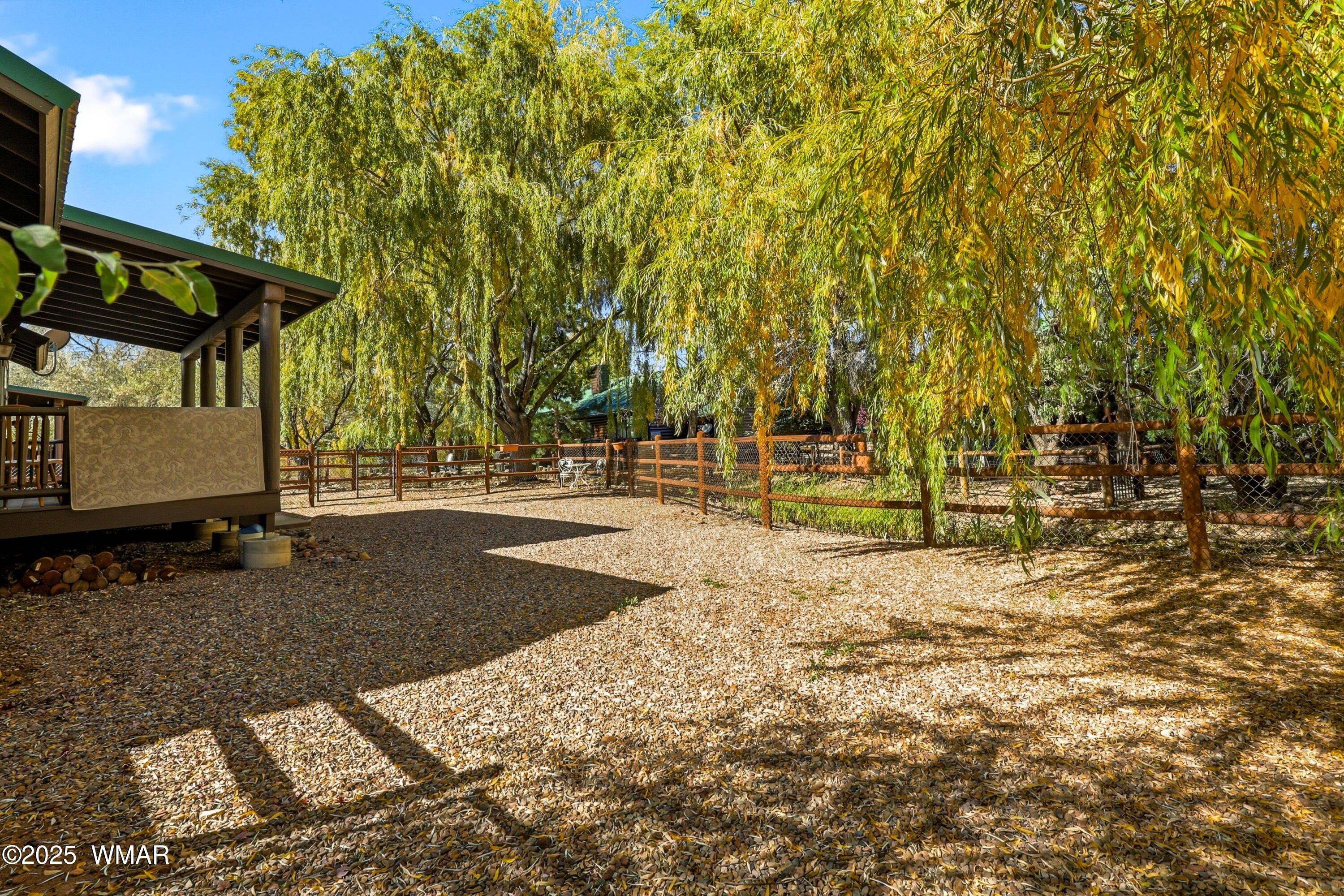 2348 South Buffalo Loop Overgaard, AZ 85933 - Photo 8 of 38 a view of yard with tree
