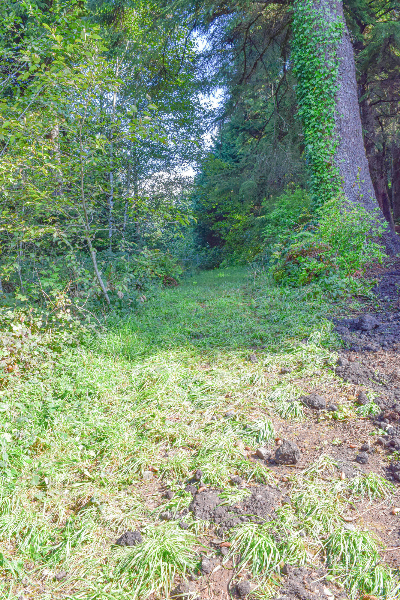 3174 Northeast East Line Road Yachats, OR 97498 - Photo 5 of 12 East Line