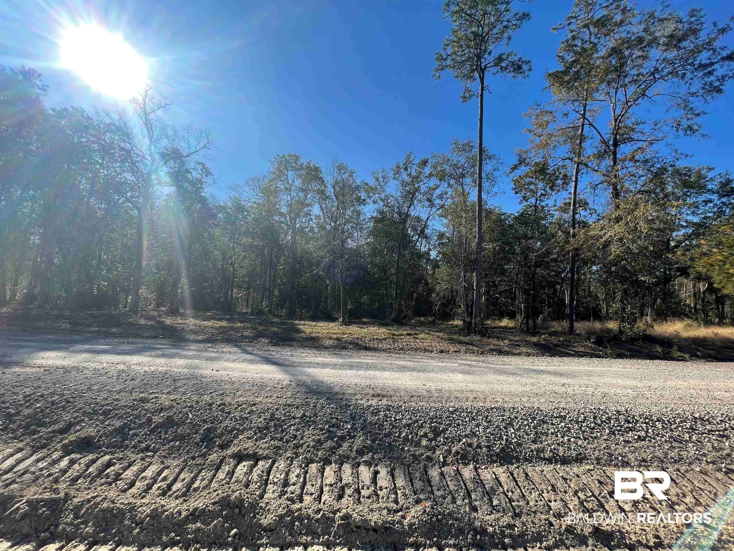 7 Creax Road Axis, AL 36505 - Photo 1 of 1