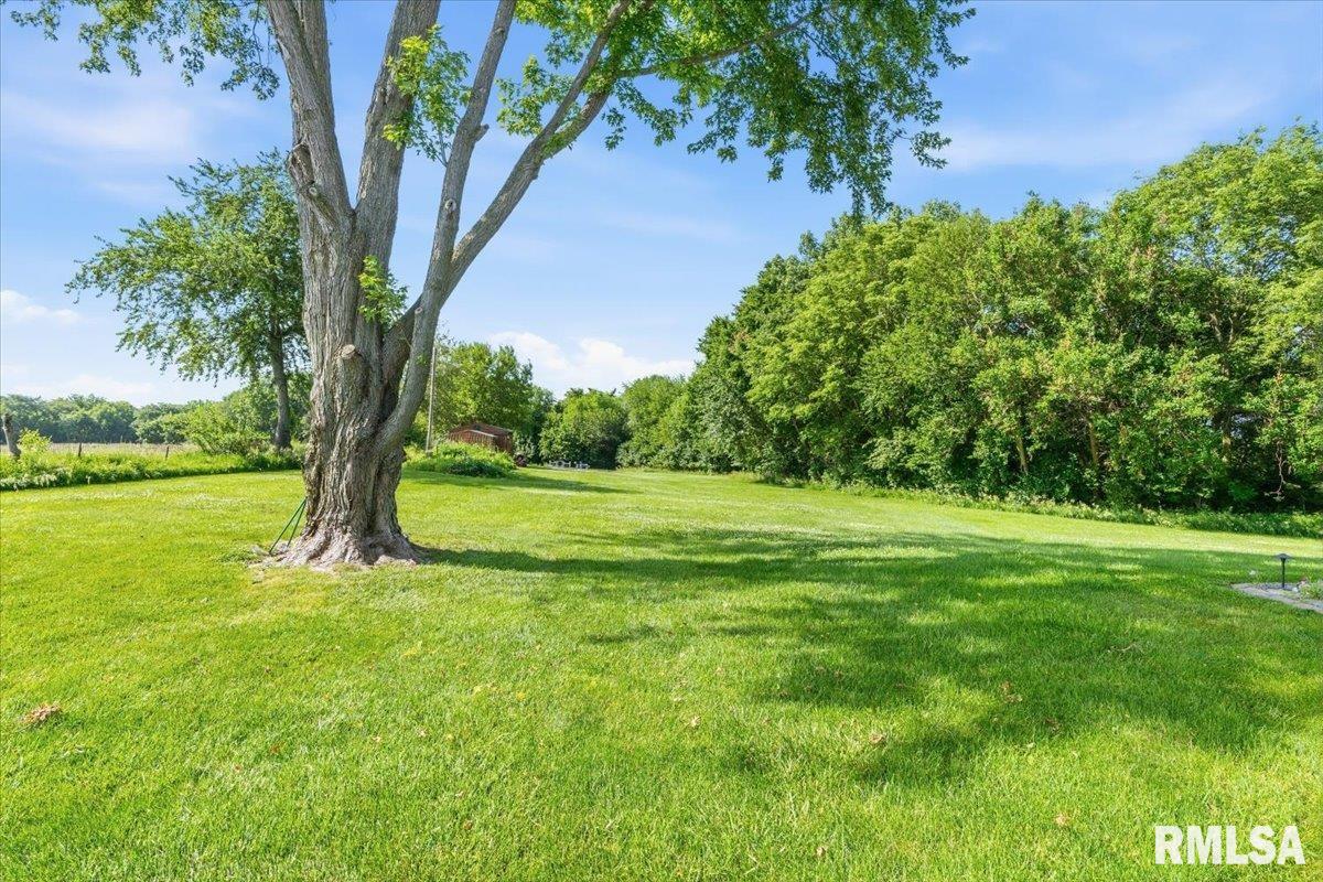 14201 3100N Road Virden, IL 62690 - Photo 39 of 55