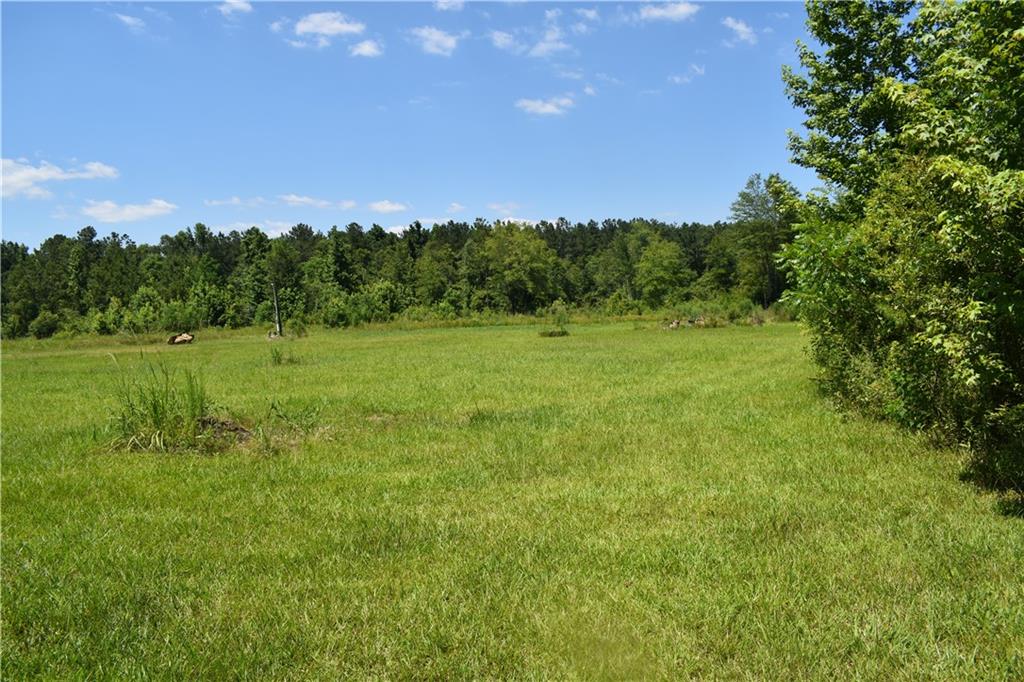 21240 Barber Road Franklinton, LA 70438 - Photo 1 of 14 Gallery Image 1