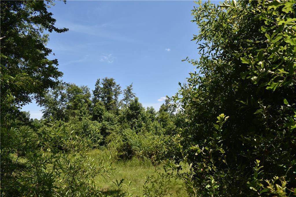 21240 Barber Road Franklinton, LA 70438 - Photo 13 of 14 Gallery Image 13