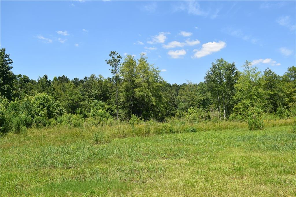 21240 Barber Road Franklinton, LA 70438 - Photo 7 of 14 Gallery Image 7