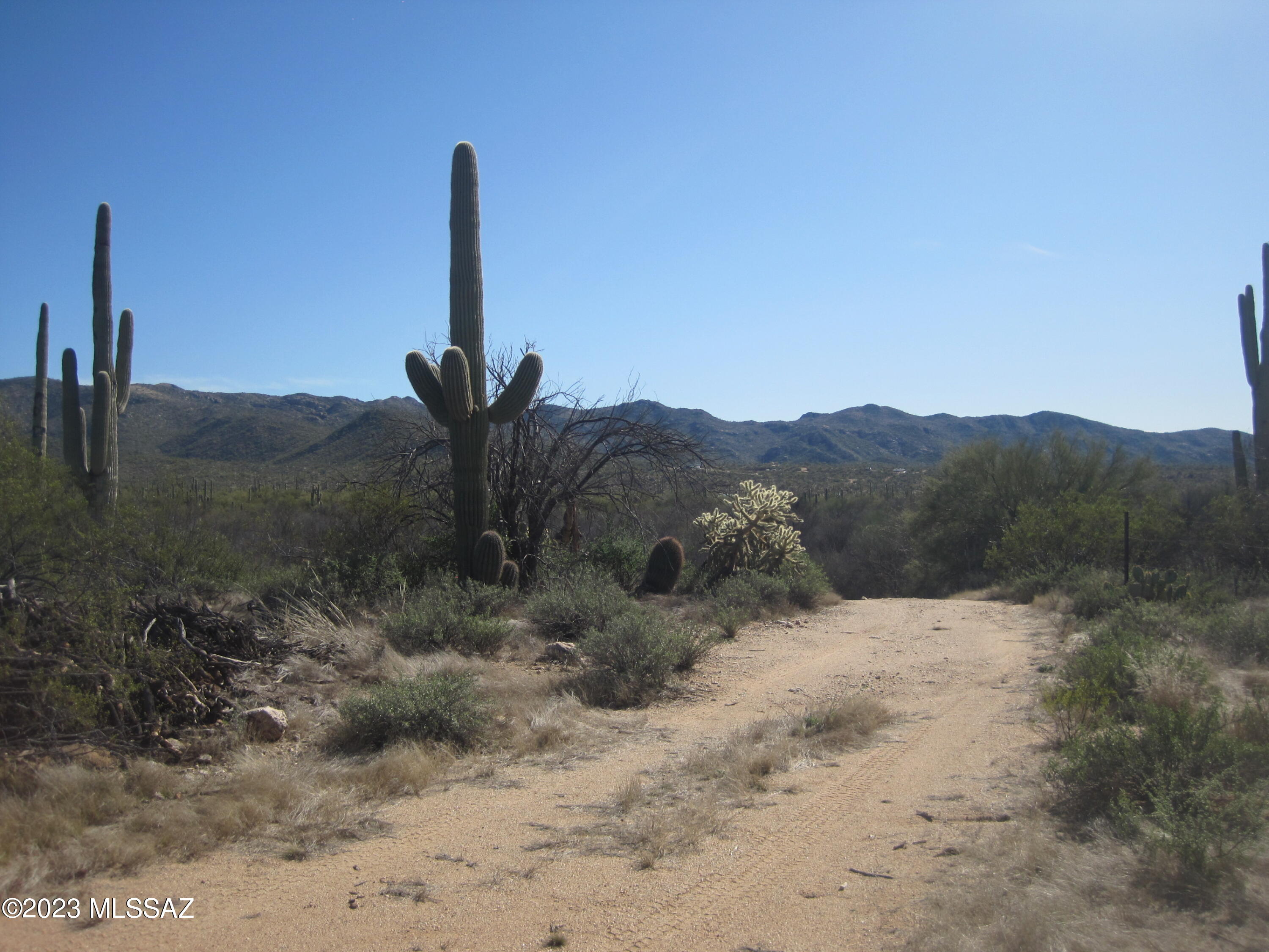 Xxx South Guild Road Marana, AZ 85658 - Photo 19 of 33 Gallery Image 19