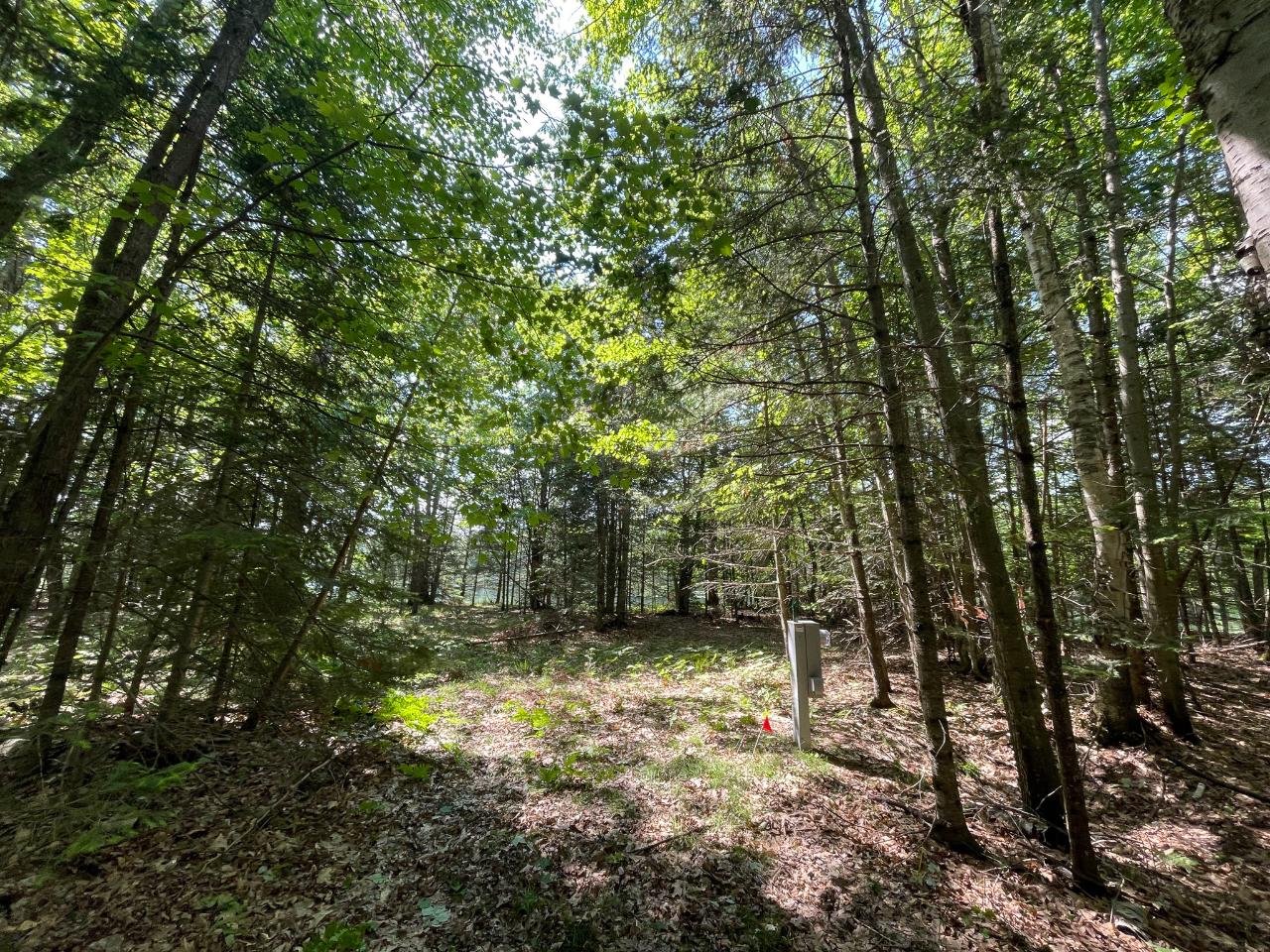 1207 South Little Bass Lake Road Eagle River, WI 54521 - Photo 16 of 47 Gallery Image 16