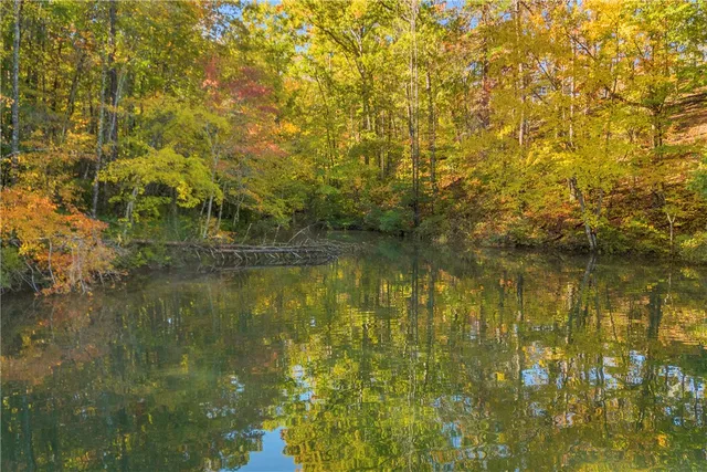 $749,900 | 1412 Cool Rdg Drive, Seneca, SC 29672