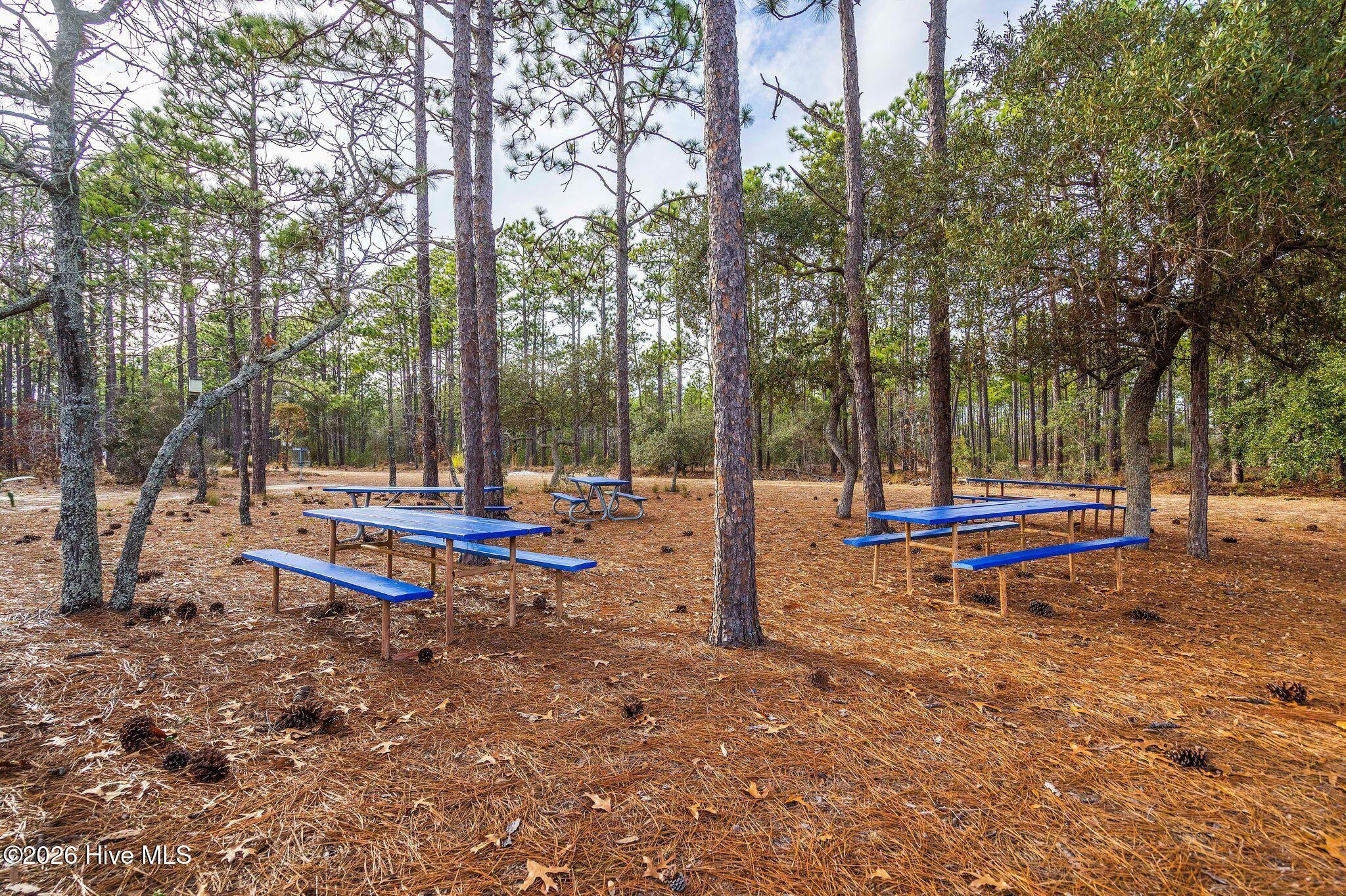 216 Foxcroft Road Southport, NC 28461 - Photo 88 of 108 88_DSC08816