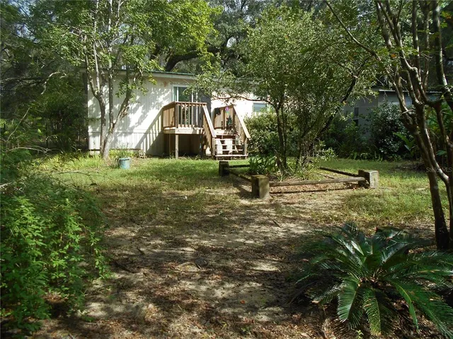 a view of a tree in the middle of a forest
