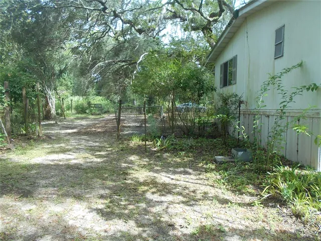 a view of a backyard with plants and trees