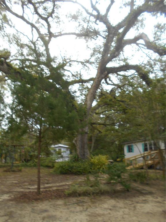 20425 Northeast 143rd Street Fort McCoy, FL 32134 - Photo 31 of 71