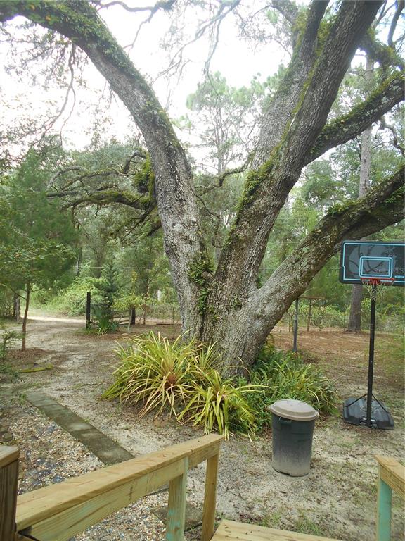 20425 Northeast 143rd Street Fort McCoy, FL 32134 - Photo 38 of 71