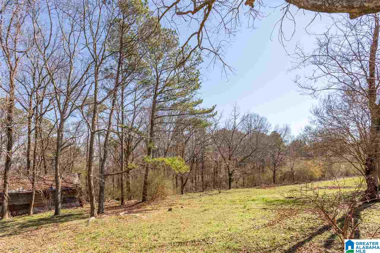 10576 County Road 24 Oneonta, AL 35121 - Photo 15 of 17