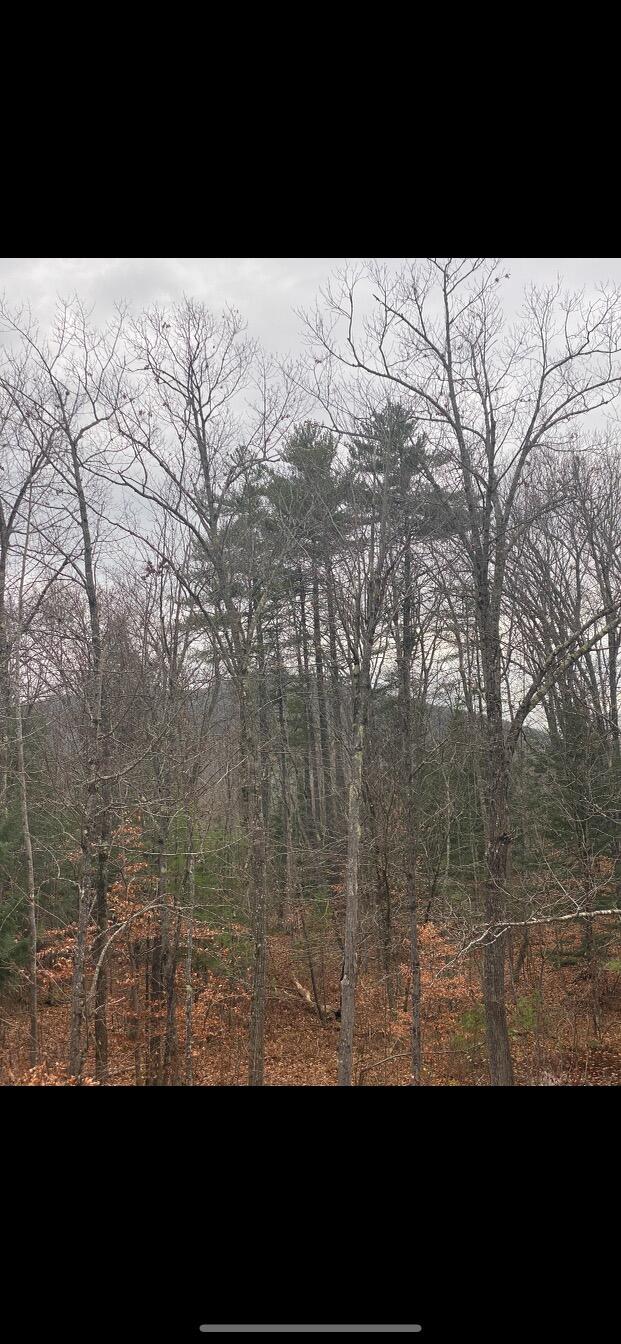80 Buswell Road Bridgton, ME 04009 - Photo 78 of 81 D92D6EDC-B081-43DD-92F6-4EBBCBB1284B