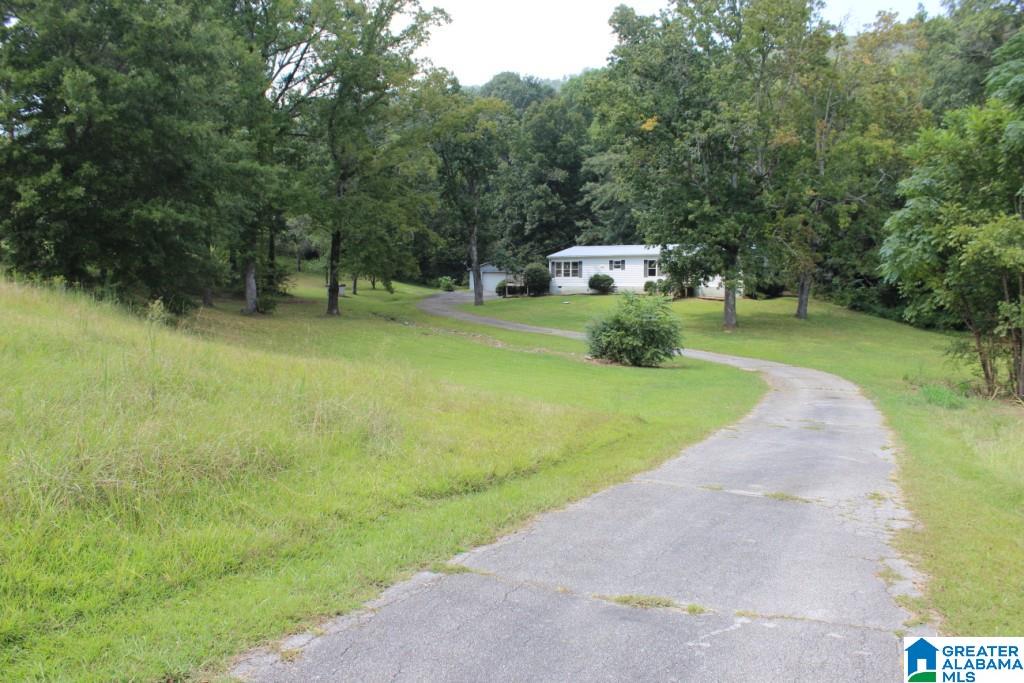 3201 Crawford Cove Road Springville, AL 35146 - Photo 37 of 40