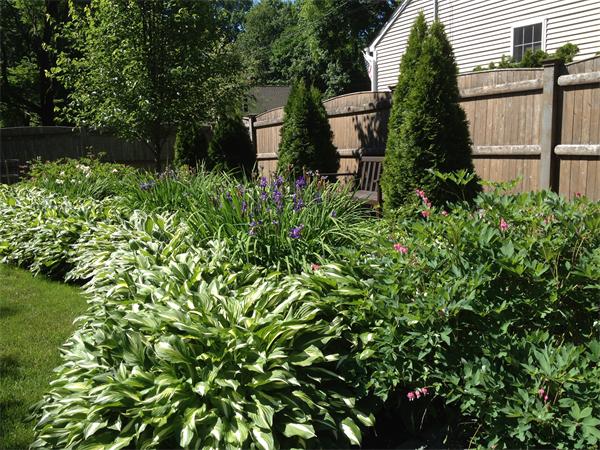 69 Scotland Road Reading, MA 01867 - Photo 22 of 25 Gallery Image 22