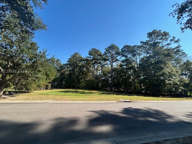 236 Farnsleigh Avenue Bluffton, SC 29910 - Photo 2 of 7 View of road